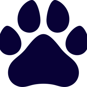 Team Page: 2nd - Second Grade